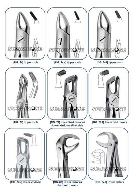 Dental Forceps Types