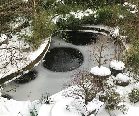 How to heat a pond in winter: 5 ideas to prevent it freezing | Homes