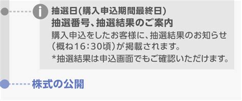 新規公開株式（ipo）／公募・売出（po） 国内株式 楽天証券