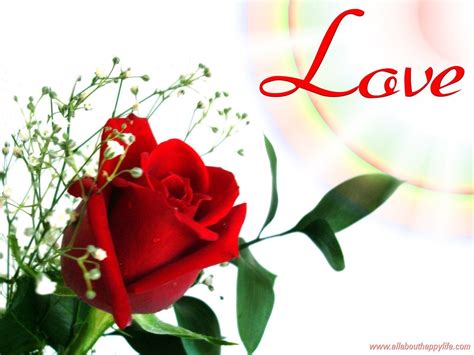 Love Flower Wallpapers Wallpaper Cave