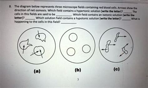 The Diagram Below Represents Three Microscope Fields Containing Red