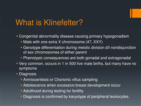 Ppt Klinefelter’s Syndrome Powerpoint Presentation Free Download Id 4678892