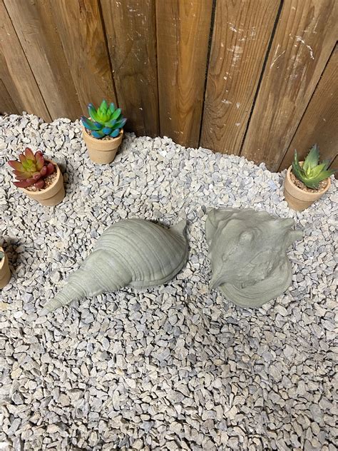 2 Seashells Concrete Statue Conch And Spiral Shell Indoor Outdoor