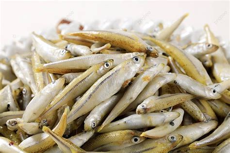 Fresh Anchovies Fish Small Omega 3 Photo Background And Picture For ...