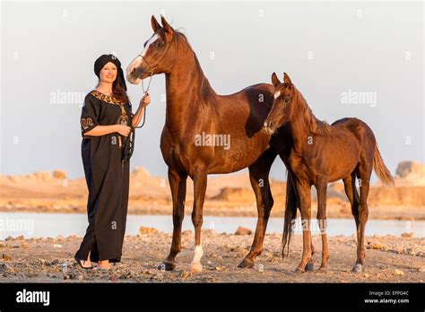 Arabian Horse Woman Traditional Dress Standing Next Chestnut Mare Foal