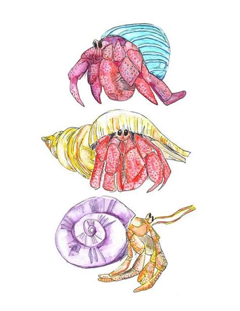 Cute Hermit Crab A4 Watercolour Original Painting Watercolor Painting