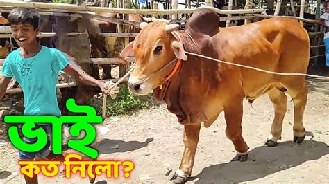 Bhai Koto Nilo Paragram Hozrotpur Gorur Haat 2023 Part 12 Qurbani