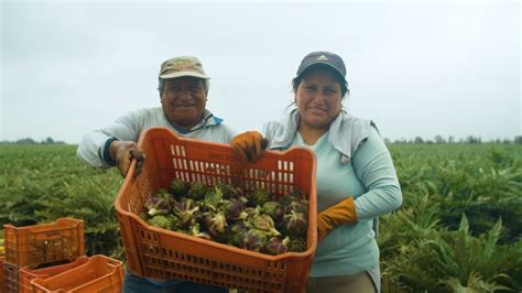 Empresas Que Transforman Conoce A Las 20 Iniciativas Que Integran La