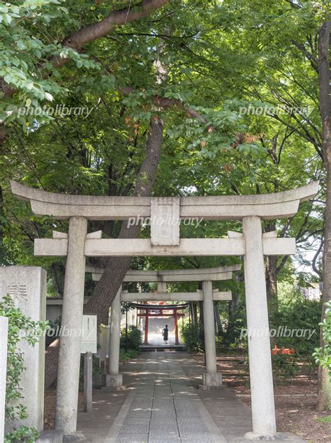 自由が丘駅近くにある自由か丘熊野神社東京都目黒区 写真素材 5198246 フォトライブラリー Photolibrary