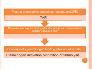 Thrombin Activable Fibrinolysis Inhibitor Tafi Role PPT