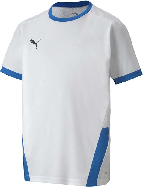 Puma Teamgoal Jersey Jr Sportisimo Bg