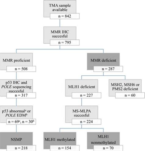 Mismatch Repair Protein And Mlh Methylation Status As Predictors Of