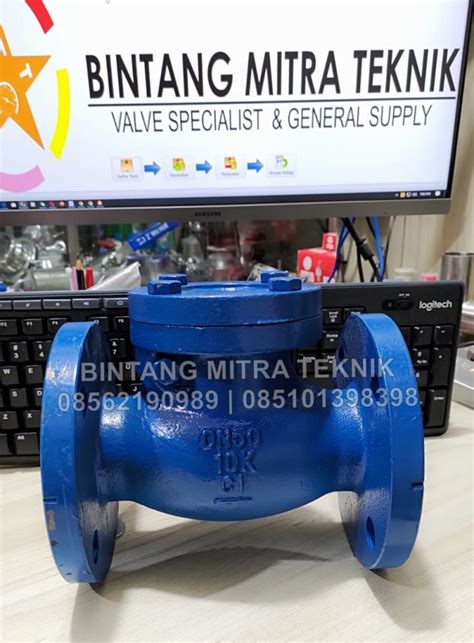 Jual SWING CHECK VALVE TOZEN DN50 10K CAST IRON 2 FLANGE Kota