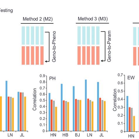 Linear Parameter Assisted Genomic Prediction A Schematic Of The Four Download Scientific