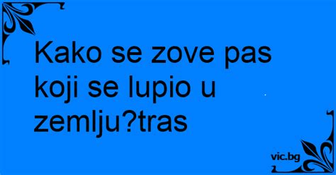 Kako Se Zove Pas Koji Se Lupio U Zemlju Tras