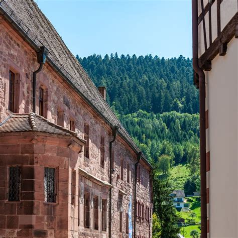 Black Forest In Bavaria Germany Untouched Nature With Mountains