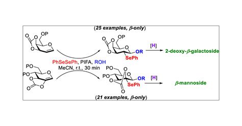 Stereoselective Phenylselenoglycosylation Of Glycals Bearing A Fused