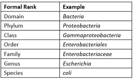 MICROBIO EXAM CH 10 13 Flashcards Quizlet