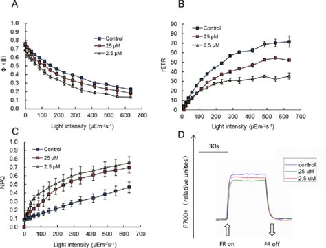 Comparision Of Chlorophyll Fluorescence Parameters Of The Leaves From