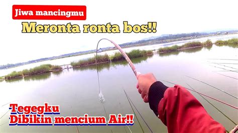 Mancing Nila Liar Dapat Banyak Umpan Lumut Pake Essen Super Jitu Di