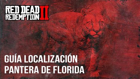 Red Dead Redemption 2 Guía Localización Pantera De Florida Youtube