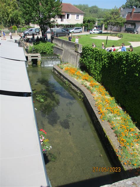 Cirques et fanfares Le jardin de Cruik Les fleurs les légumes