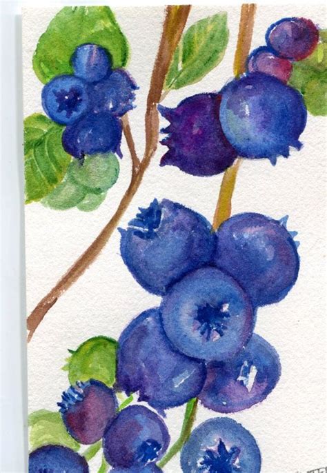 Blueberry Painting Blueberries Watercolor Painting Original 5 X 7 Watercolour Fruit Art