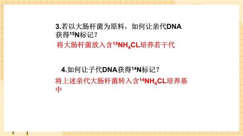 高中生物人教版 2019必修2《遗传与进化》第3节 Dna的复制精品课件ppt 教习网课件下载