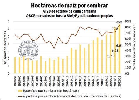 Casi Todo Tard O La Superficie De Ma Z Que Falta Sembrar Es La M S