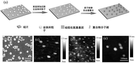 一种利用金纳米粒子制备纳米尺寸聚合物刷阵列的方法与流程