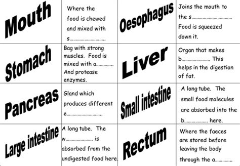 Digestion System Revision Cards By Teachbiology Teaching Resources Tes