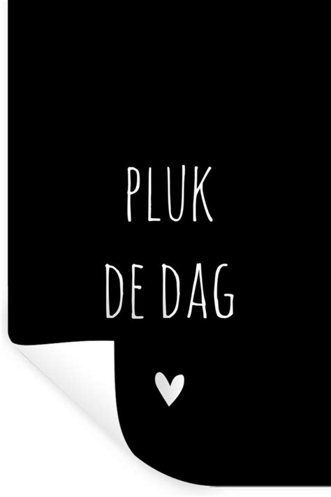 Muurstickers Sticker Folie Quotes Pluk De Dag Spreuken Carpe