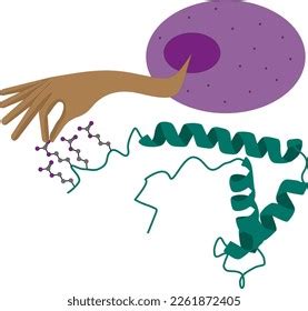 Frameshift Mutation Photos, Images & Pictures | Shutterstock