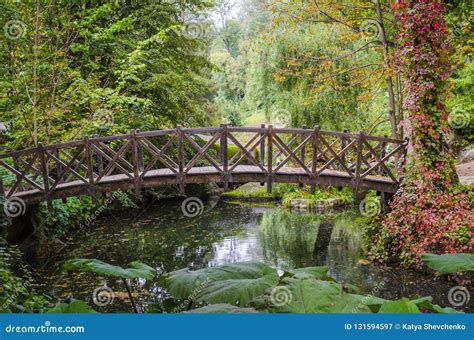 Wooden Bridge Over The Pond Stock Image Image Of Tourism Travel