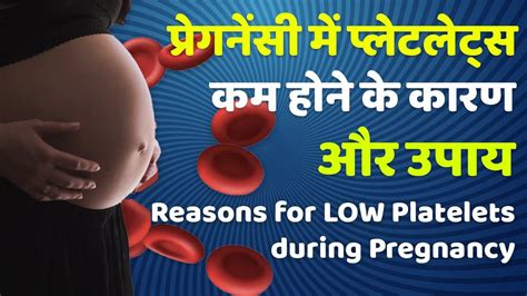 Pregnancy Me Platelets Kam Hona Normal Hai Platelets Kam Hone Ke