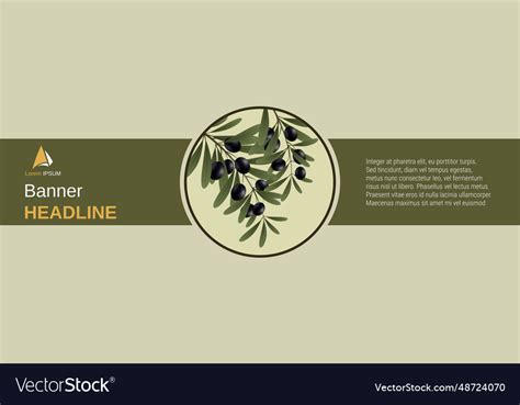 Olive tree branch Royalty Free Vector Image - VectorStock