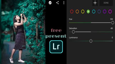 Lightroom Dark Green Tone Editing How To Edit Dark Green Tone Easy