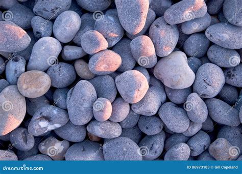 Grey Pebbles On Beach At Sunset With Pink Glow Grom Sunset On So Stock Image Image Of Pattern