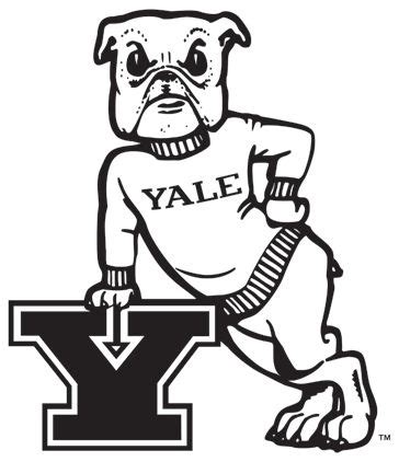 Yale Bulldogs Primary Logo | Yale bulldogs, Yale, Bulldog