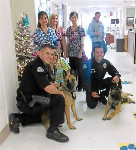 New canine officer, Reiko, joins West Covina Police Department – San Gabriel Valley Tribune