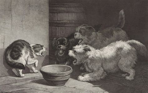 Cat And Three Barking Dogs And A Dish, Edouard Taurel Drawing by ...