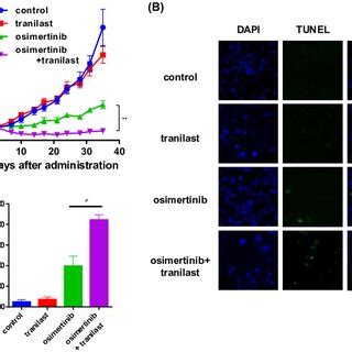 Enhancement Of The Tumorinhibitory Effect Of Tranilast In A Mouse