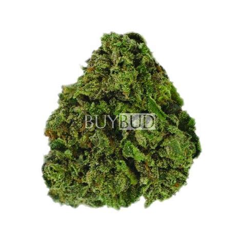 Buy Alaskan Thunder Fuck Cannabis Online Canada Free Shipping Orders Over Free Gift