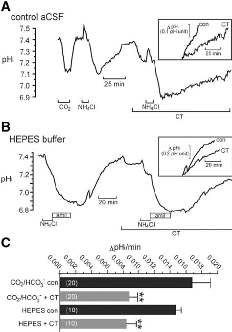 Na H Exchange Nhe Activity Is Slowed By The Chemical Oxidant