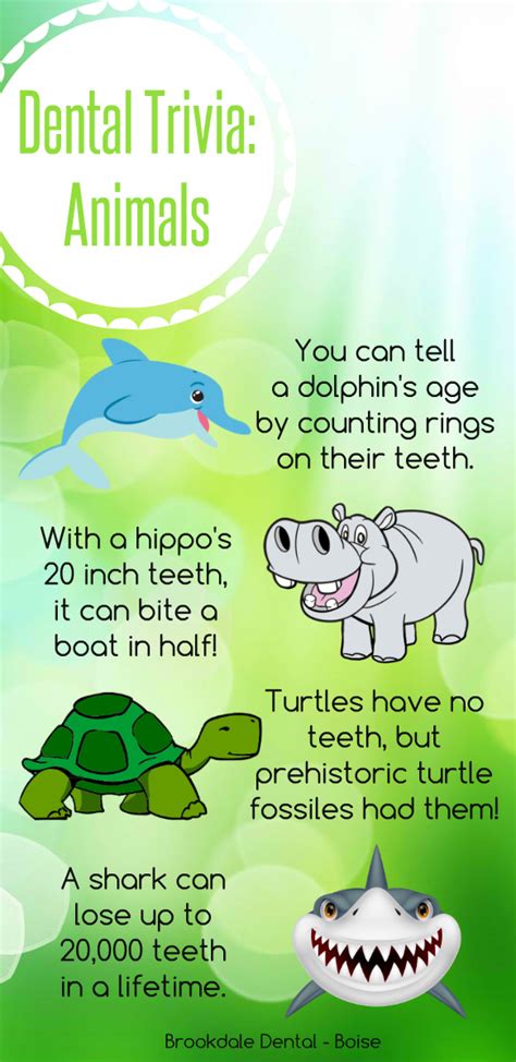 Fun Fact Friday! – Animal Teeth Trivia