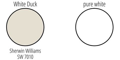 Sherwin Williams White Duck Sw Color Study Pictures