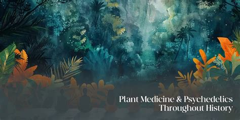 The Comprehensive Guide To Plant Medicine And Psychedelics Throughout History