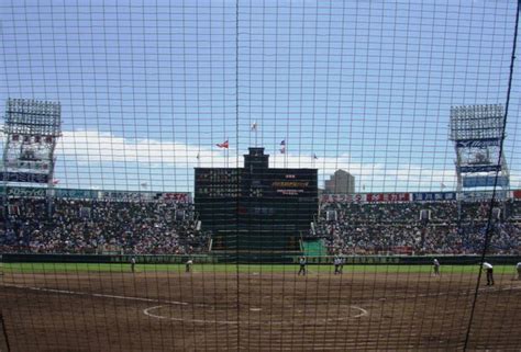 写真・図版（1枚目） 高校野球トリビア 別の学校で2度優勝を経験した選手がいた！ Aera Dot アエラドット