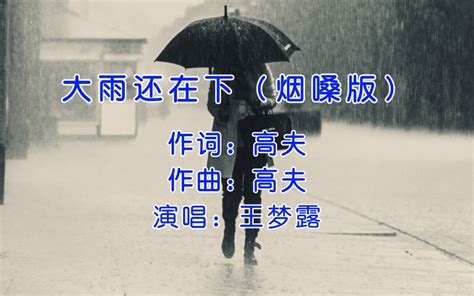 火爆全网，王梦露《大雨还在下》烟嗓完整版，谁还没点副业bgm Bilibili B站 无水印视频解析——6li6在线工具箱