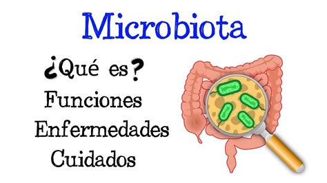 🦠 ¿qué Es La Microbiota 🦠 Funciones 💥 Enfermedades 💥 Cuidados 🧫 [fácil Y Rápido] BiologÍa